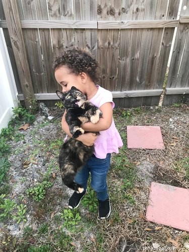 17 Adorable Animal Moments That Bring Joy Online