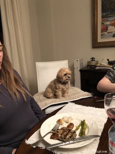 17 Adorable Animal Moments That Bring Joy Online