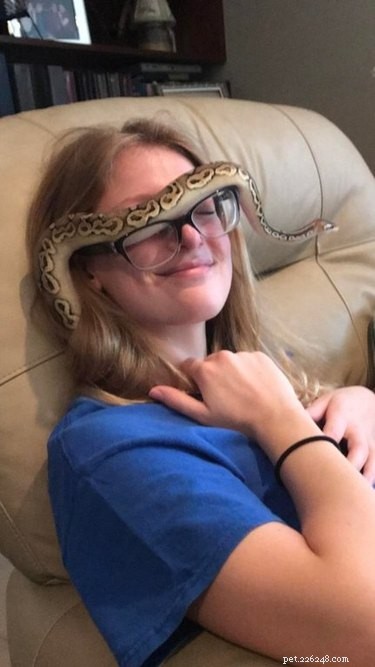 22 Adorable Snakes That Will Melt Your Heart