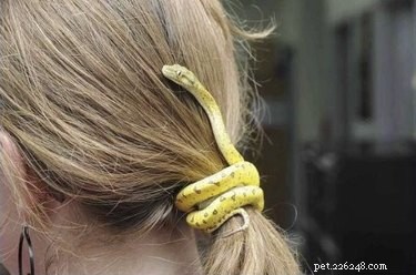 22 Adorable Snakes That Will Melt Your Heart