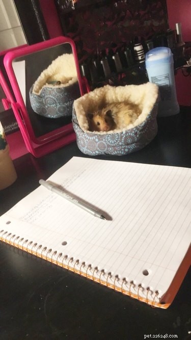 18 Adorable Animals Guaranteed to Brighten Your Day