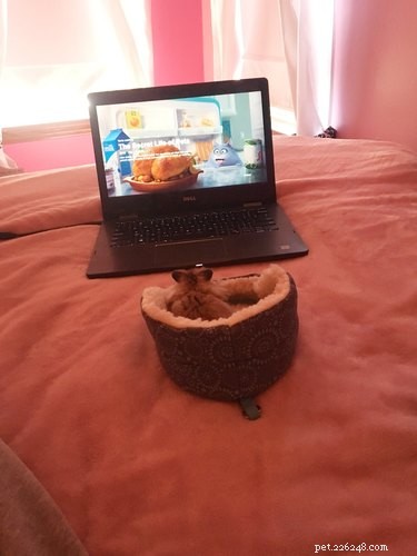 18 Adorable Animals Guaranteed to Brighten Your Day