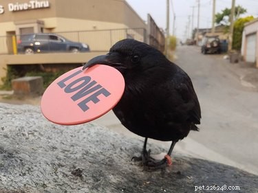 18 Adorable Animals Guaranteed to Brighten Your Day