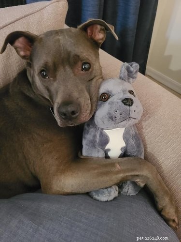 18 Adorable Animals Guaranteed to Brighten Your Day