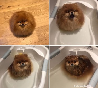 18 Adorable Animals Guaranteed to Brighten Your Day