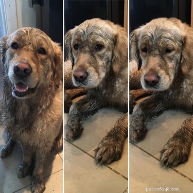 18 Adorable Animals Guaranteed to Brighten Your Day