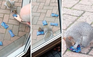 18 Adorable Animals Guaranteed to Brighten Your Day