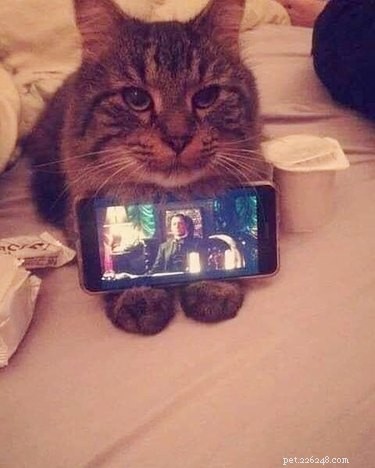 17 Must-See Pets That Will Melt Your Heart