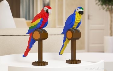 Stunning Life‑Sized LEGO Cat & Dog Sculptures That Will Blow Your Mind