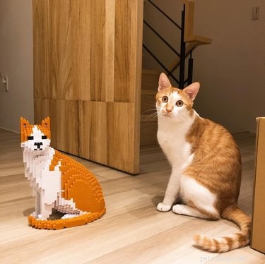 Stunning Life‑Sized LEGO Cat & Dog Sculptures That Will Blow Your Mind