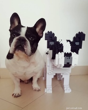 Stunning Life‑Sized LEGO Cat & Dog Sculptures That Will Blow Your Mind