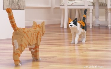 Stunning Life‑Sized LEGO Cat & Dog Sculptures That Will Blow Your Mind