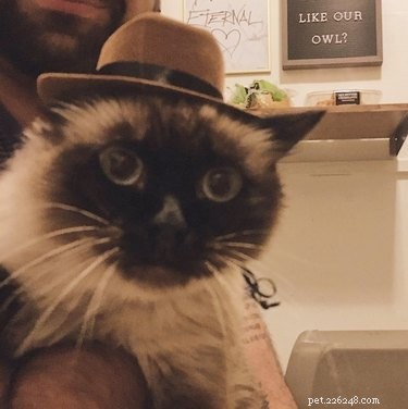 18 Adorable Pets That Will Light Up Your Day
