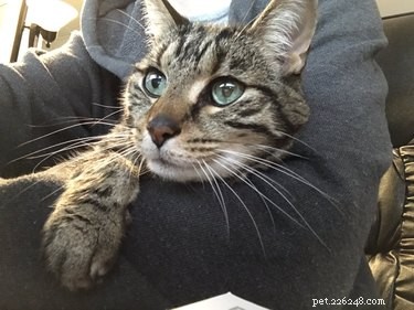 18 Adorable Pets That Will Light Up Your Day