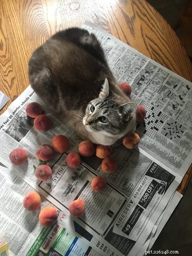 18 Adorable Pets That Will Light Up Your Day