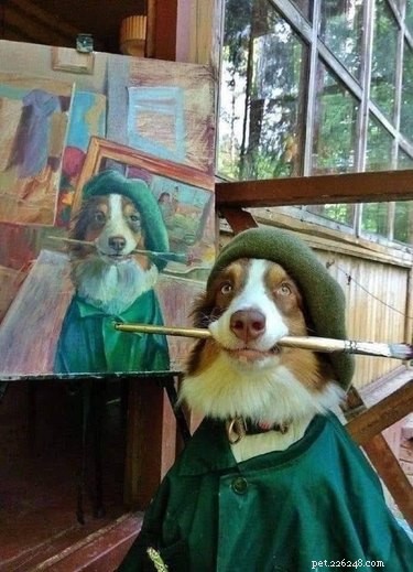 18 Adorable Pets That Will Light Up Your Day