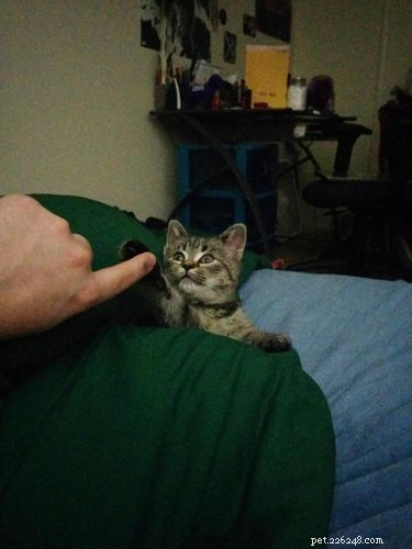 18 Adorable Pets That Will Light Up Your Day