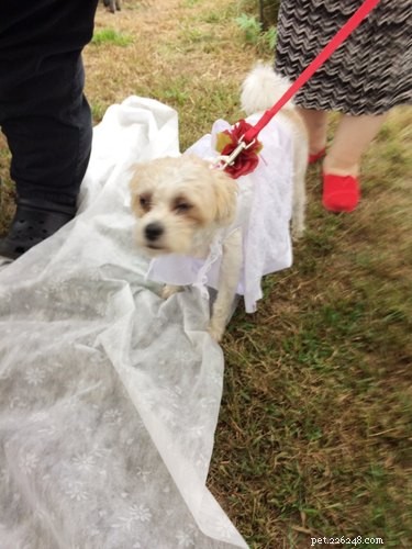 Discover the 17 Most Adorable Pets Trending Online This Week