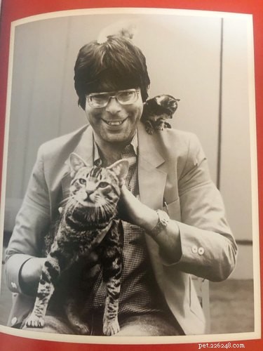 Discover the 17 Most Adorable Pets Trending Online This Week