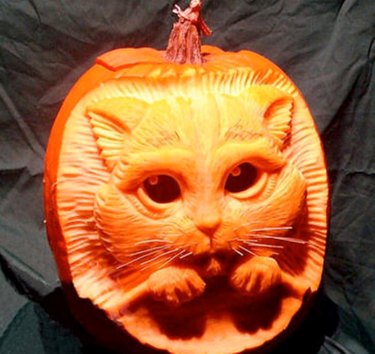 17 Stunning Animal-Inspired Pumpkin Carvings for Halloween