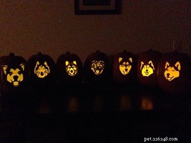 17 Stunning Animal-Inspired Pumpkin Carvings for Halloween