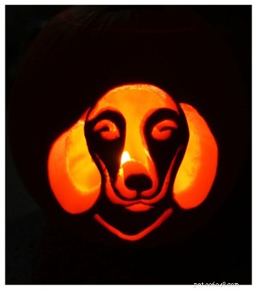 17 Stunning Animal-Inspired Pumpkin Carvings for Halloween