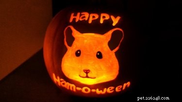 17 Stunning Animal-Inspired Pumpkin Carvings for Halloween