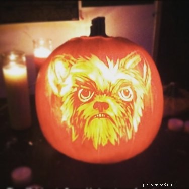 17 Stunning Animal-Inspired Pumpkin Carvings for Halloween