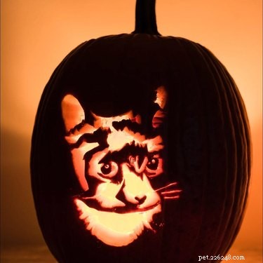 17 Stunning Animal-Inspired Pumpkin Carvings for Halloween