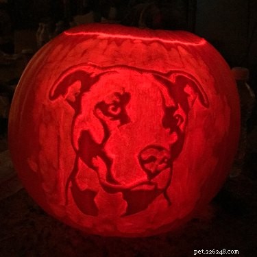 17 Stunning Animal-Inspired Pumpkin Carvings for Halloween