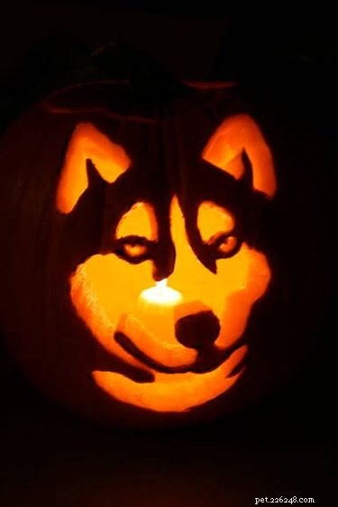 17 Stunning Animal-Inspired Pumpkin Carvings for Halloween