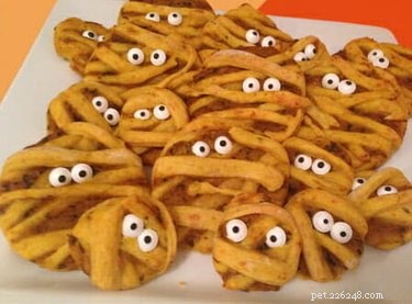 Spooktacular Ways to Spoil Your Dog or Cat This Halloween