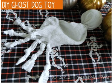 Spooktacular Ways to Spoil Your Dog or Cat This Halloween