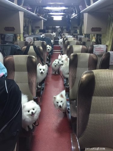 18 Adorable Pets Guaranteed to Make You Laugh