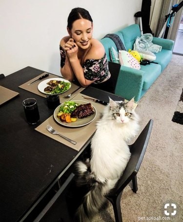 18 Adorable Pets Guaranteed to Make You Laugh