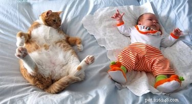 18 Charming and Hilarious Pet Photos That Will Brighten Your Day