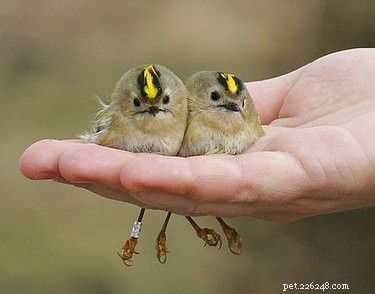 18 Adorable Babies Guaranteed to Melt Your Heart