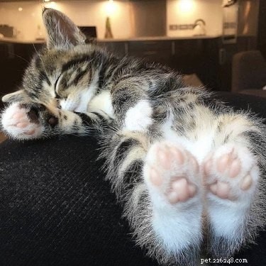 18 Adorable Babies Guaranteed to Melt Your Heart