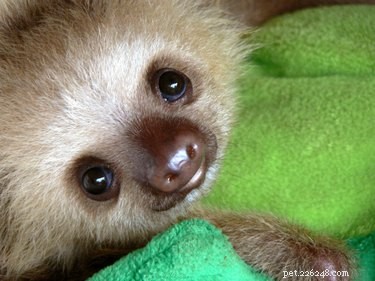 18 Adorable Babies Guaranteed to Melt Your Heart