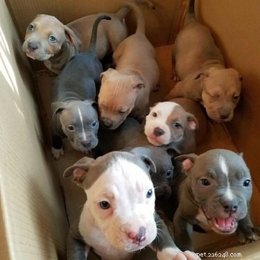 18 Adorable Babies Guaranteed to Melt Your Heart