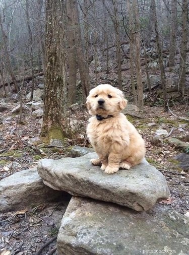 18 Adorable Babies Guaranteed to Melt Your Heart