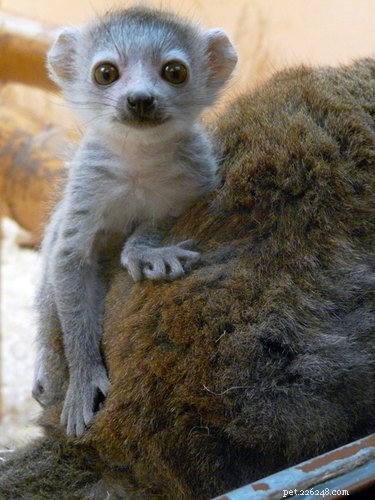18 Adorable Babies Guaranteed to Melt Your Heart