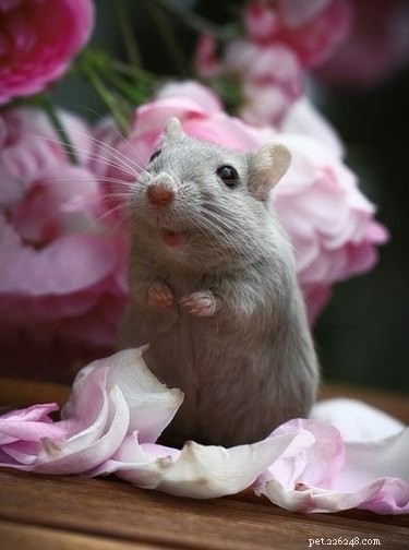 18 Adorable Babies Guaranteed to Melt Your Heart