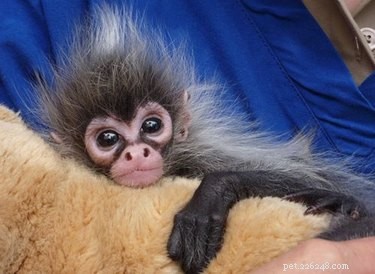 18 Adorable Babies Guaranteed to Melt Your Heart