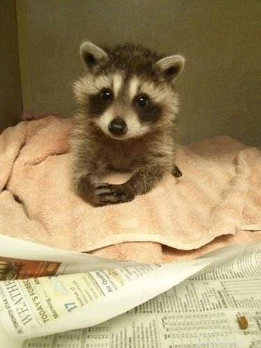 18 Adorable Babies Guaranteed to Melt Your Heart