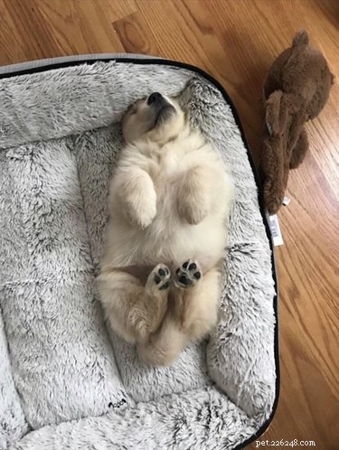18 Adorable Babies Guaranteed to Melt Your Heart