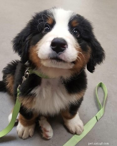 18 Adorable Babies Guaranteed to Melt Your Heart