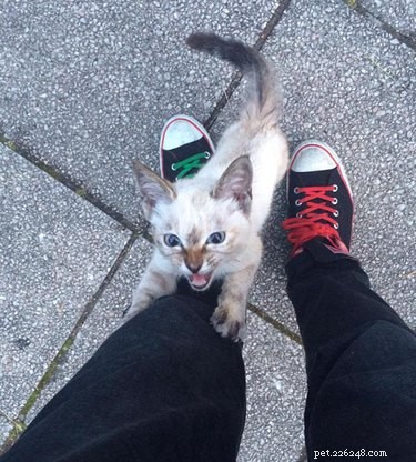 18 Adorable Babies Guaranteed to Melt Your Heart