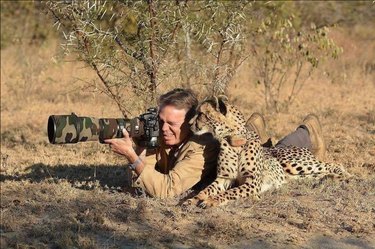 Unexpected Animal Interactions with Wildlife Photographers: 17 Stunning Photos