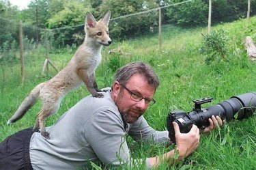 Unexpected Animal Interactions with Wildlife Photographers: 17 Stunning Photos